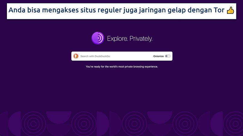 Screenshot of the Tor Browser homepage