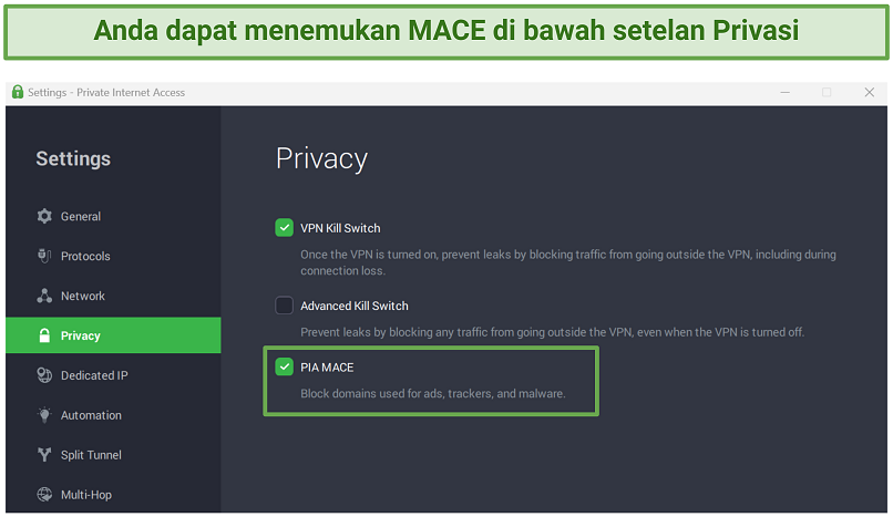 Screenshot of PIA's MACE settings