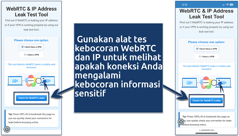 Screenshot alat tes kebocoran alamat IP dan WebRTC VpnMentor