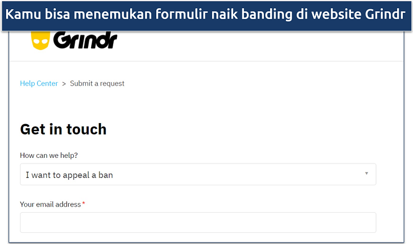 Screenshot website Grindr menunjukkan formulir naik banding