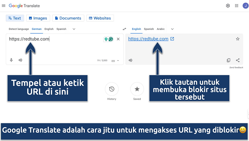 Screenshot showing the Google Translate interface typing in RedTube