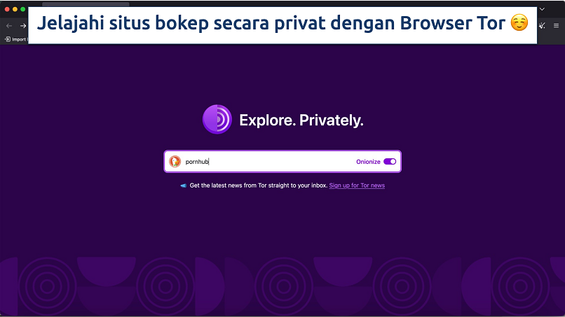 Screenshot showing the Tor Browser with “pornhub” typed in the search bar